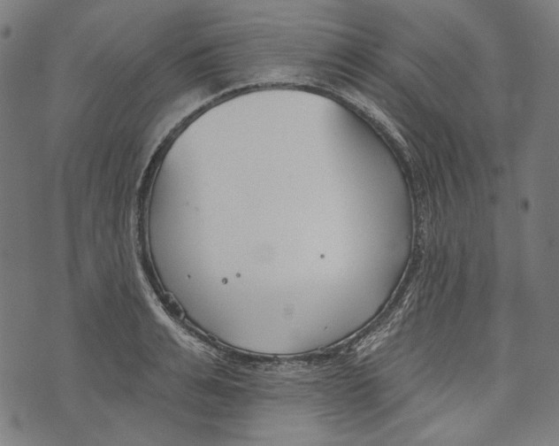 X0000073950991200609181356