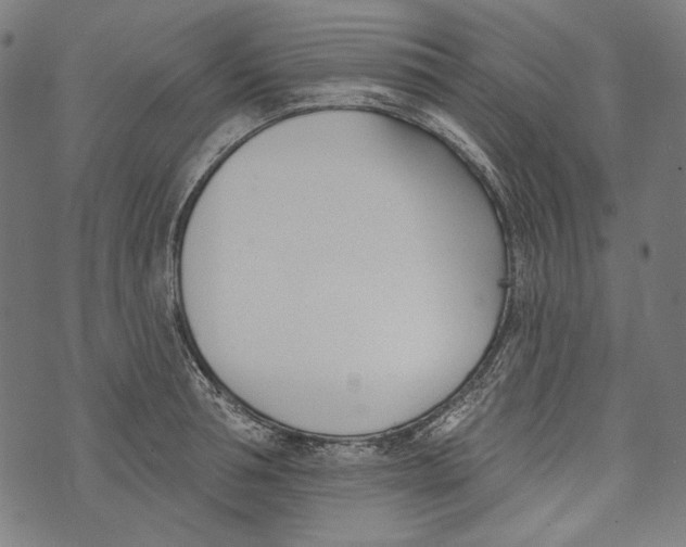 X0000073950994200609181356