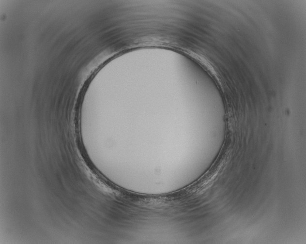 X0000073950995200609181356