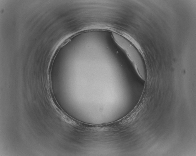 X0000073950996200609181356