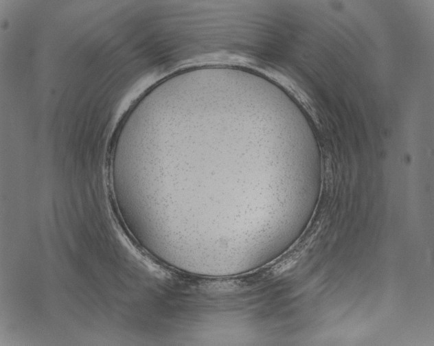 X0000073950998200609181356