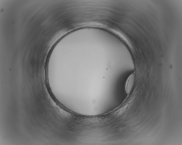 X0000073950999200609181356