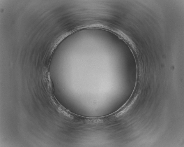 X0000073951001200609181356