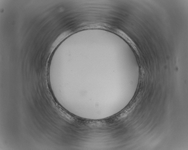 X0000073951002200609181356