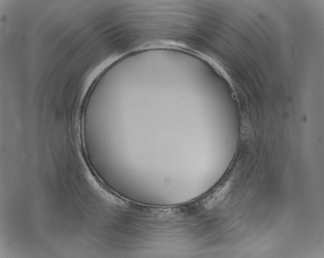 X0000073951003200609181356