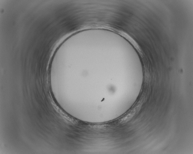 X0000073951004200609181356