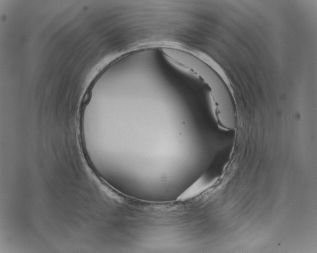 X0000073951005200609181356