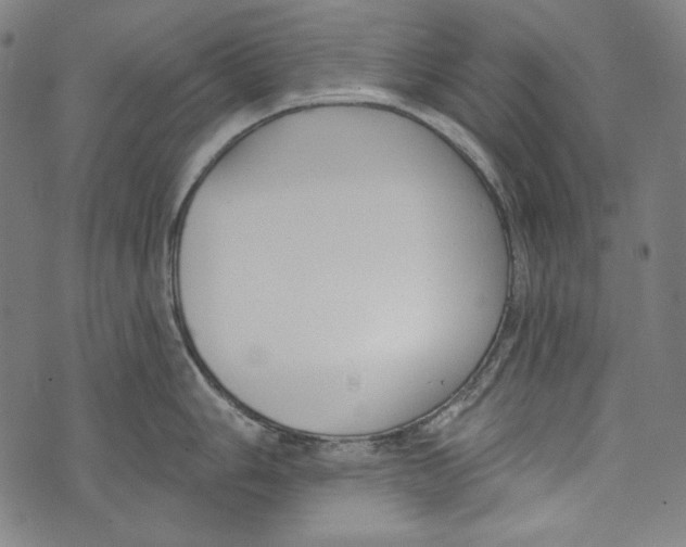 X0000073951006200609181356