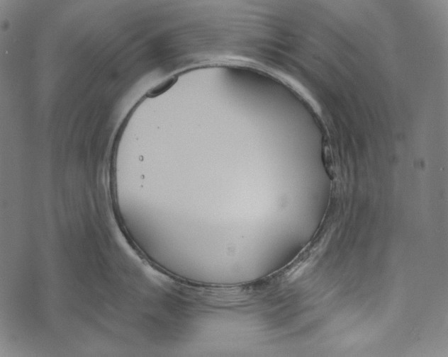 X0000073951007200609181356