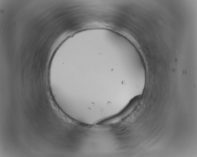 X0000073951008200609181356