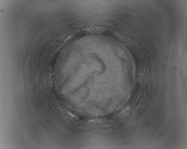 X0000073951010200609181355