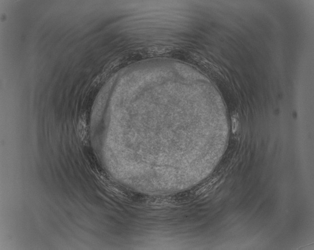 X0000073951011200609181355