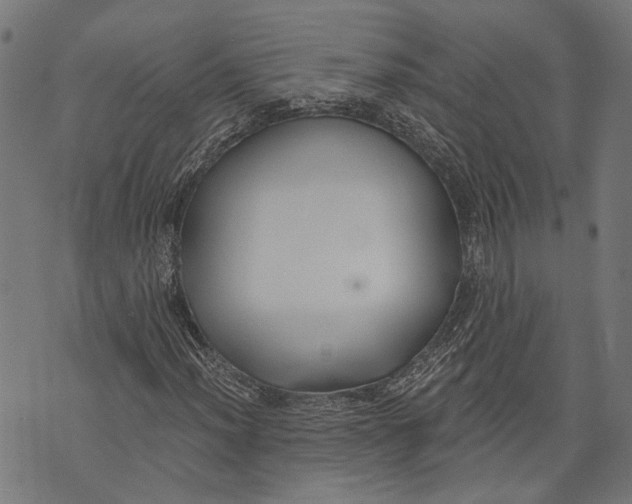 X0000073951012200609181355