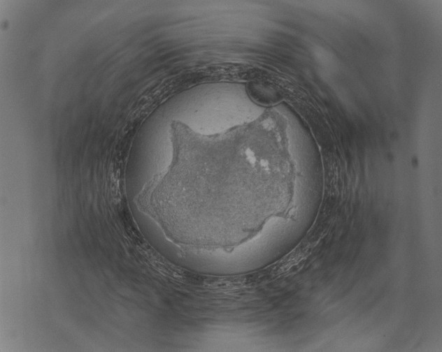 X0000073951013200609181355