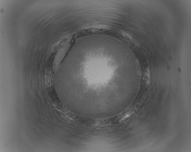 X0000073951014200609181355