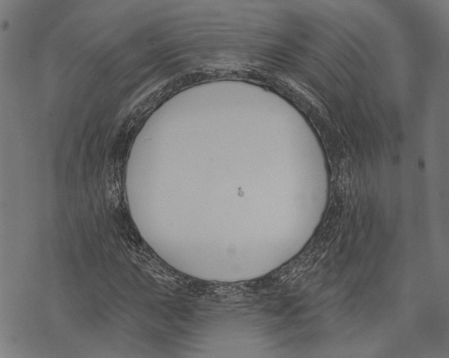 X0000073951015200609181356