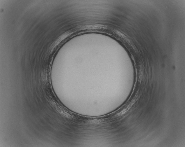 X0000073951017200609181356