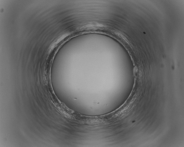 X0000073951018200609181356