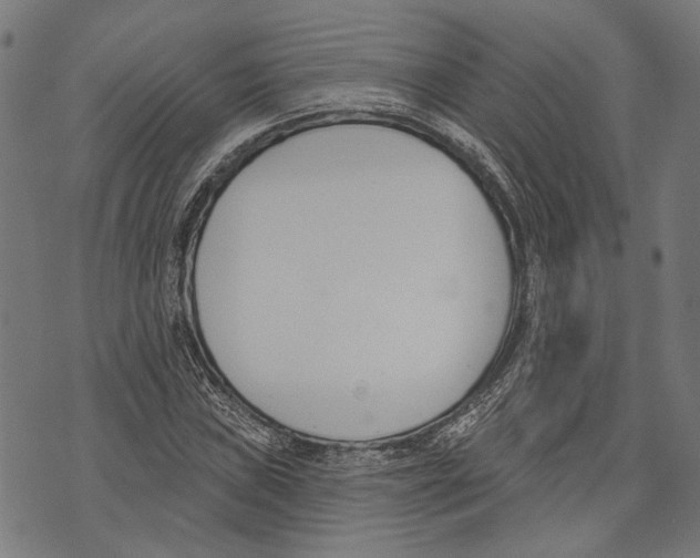 X0000073951019200609181356