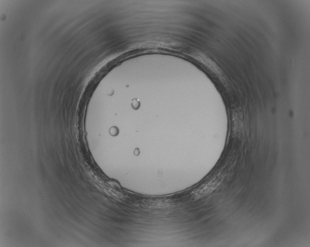 X0000073951020200609181356