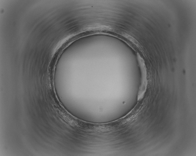 X0000073951022200609181356