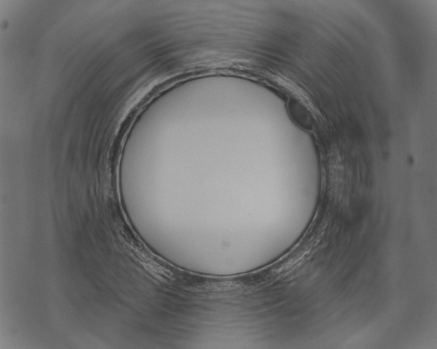 X0000073951023200609181356