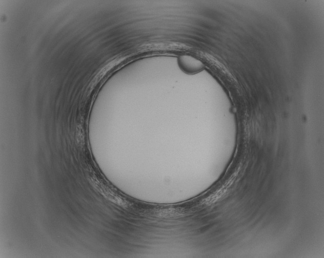 X0000073951025200609181356