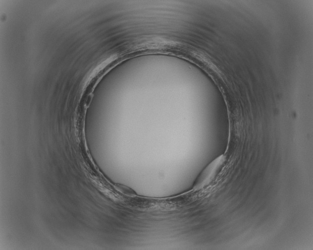 X0000073951026200609181356