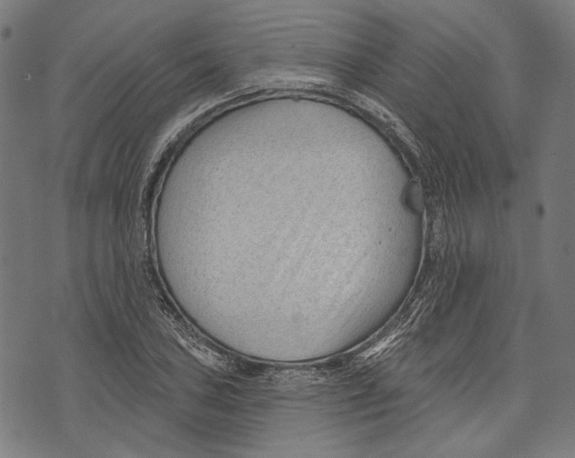 X0000073951027200609181356