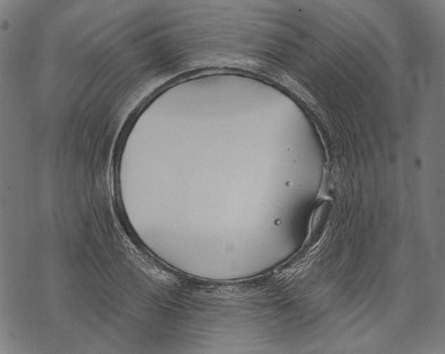 X0000073951028200609181356