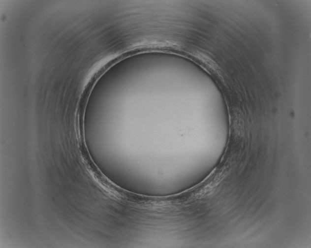 X0000073951030200609181356