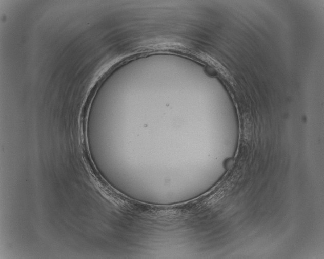 X0000073951031200609181356