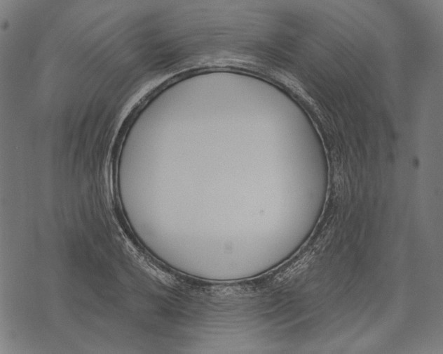 X0000073951032200609181356