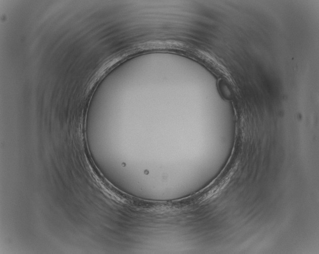 X0000073951033200609181356