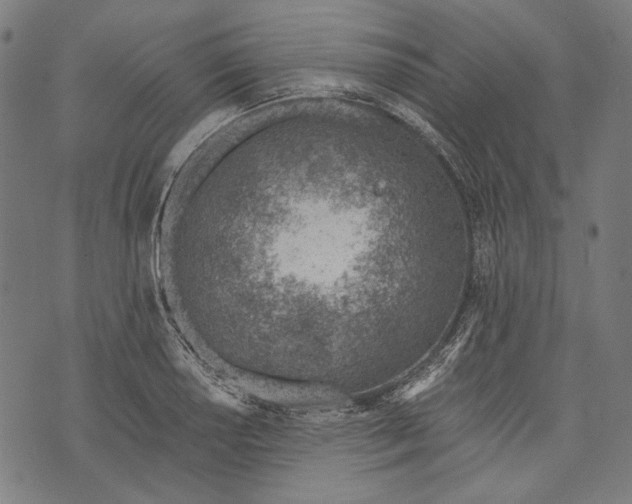 X0000073951034200609181356