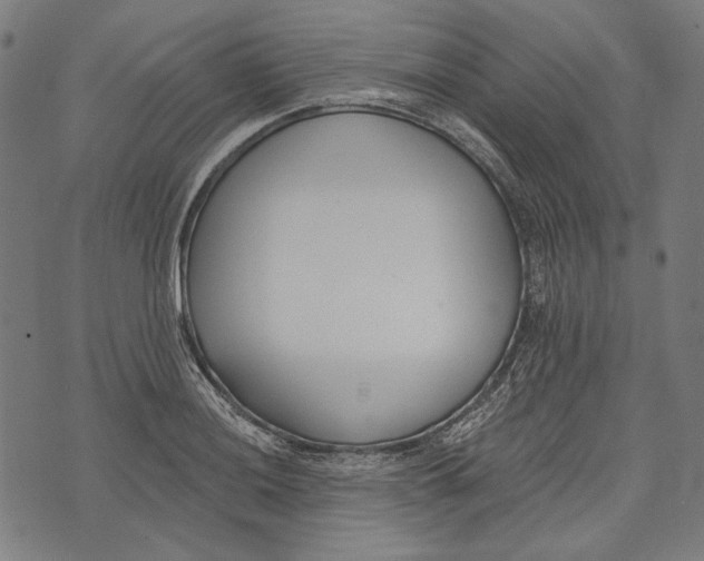 X0000073951036200609181356