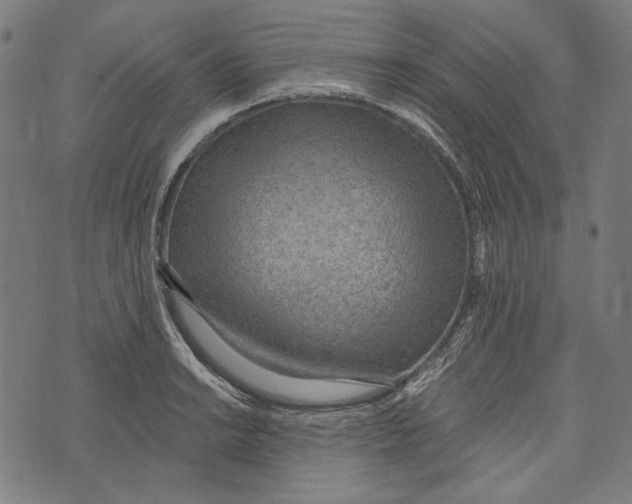 X0000073951038200609181356