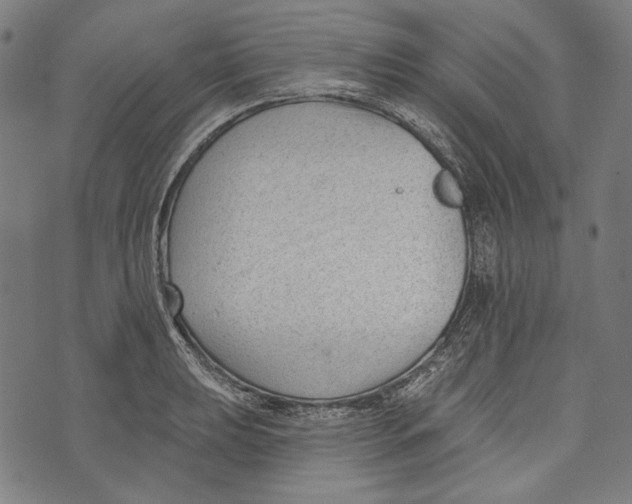 X0000073951039200609181356