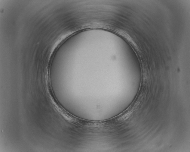 X0000073951040200609181356