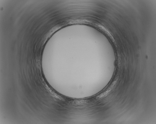 X0000073951041200609181356