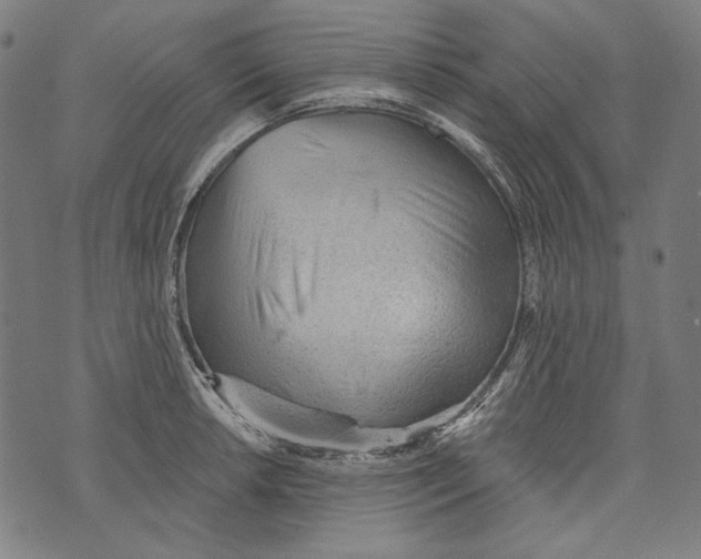 X0000073951042200609181356