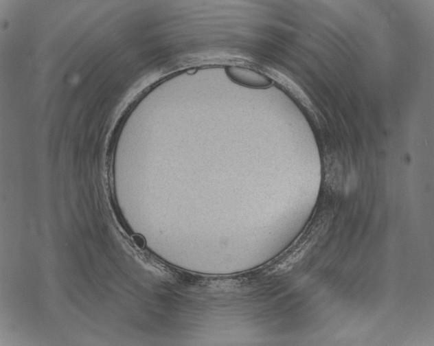 X0000073951043200609181356