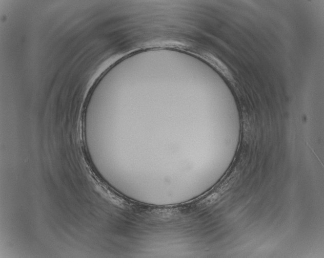 X0000073951044200609181356