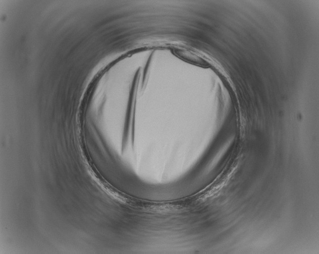 X0000073951045200609181356