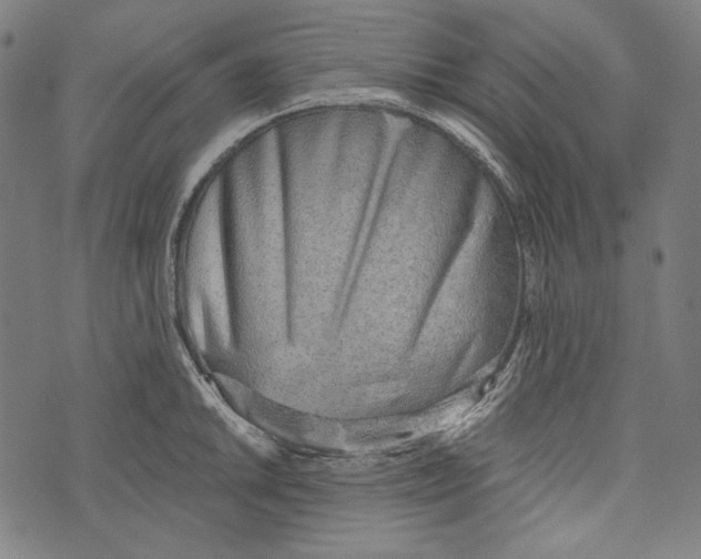 X0000073951046200609181356