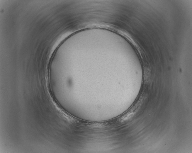 X0000073951048200609181356