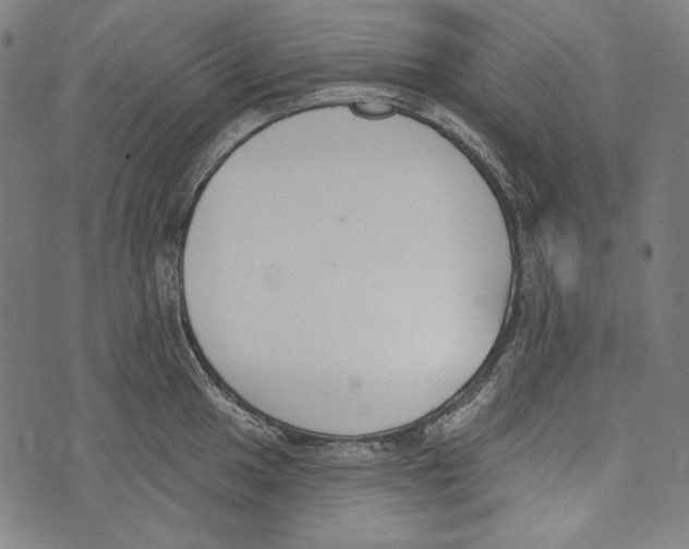 X0000073951049200609181356