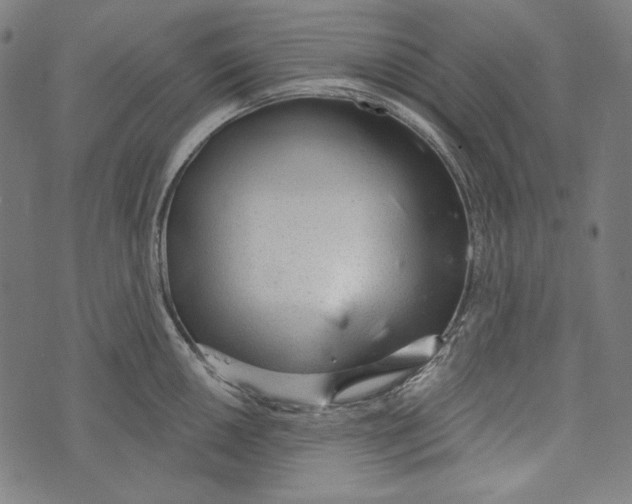 X0000073951050200609181356