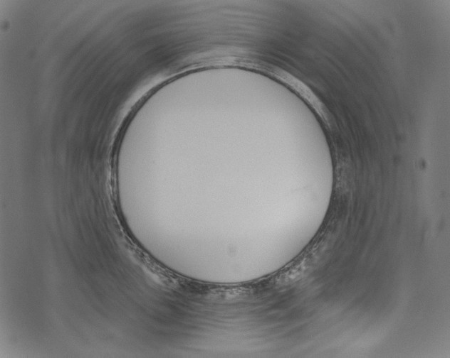 X0000073951051200609181356