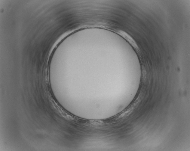 X0000073951052200609181356